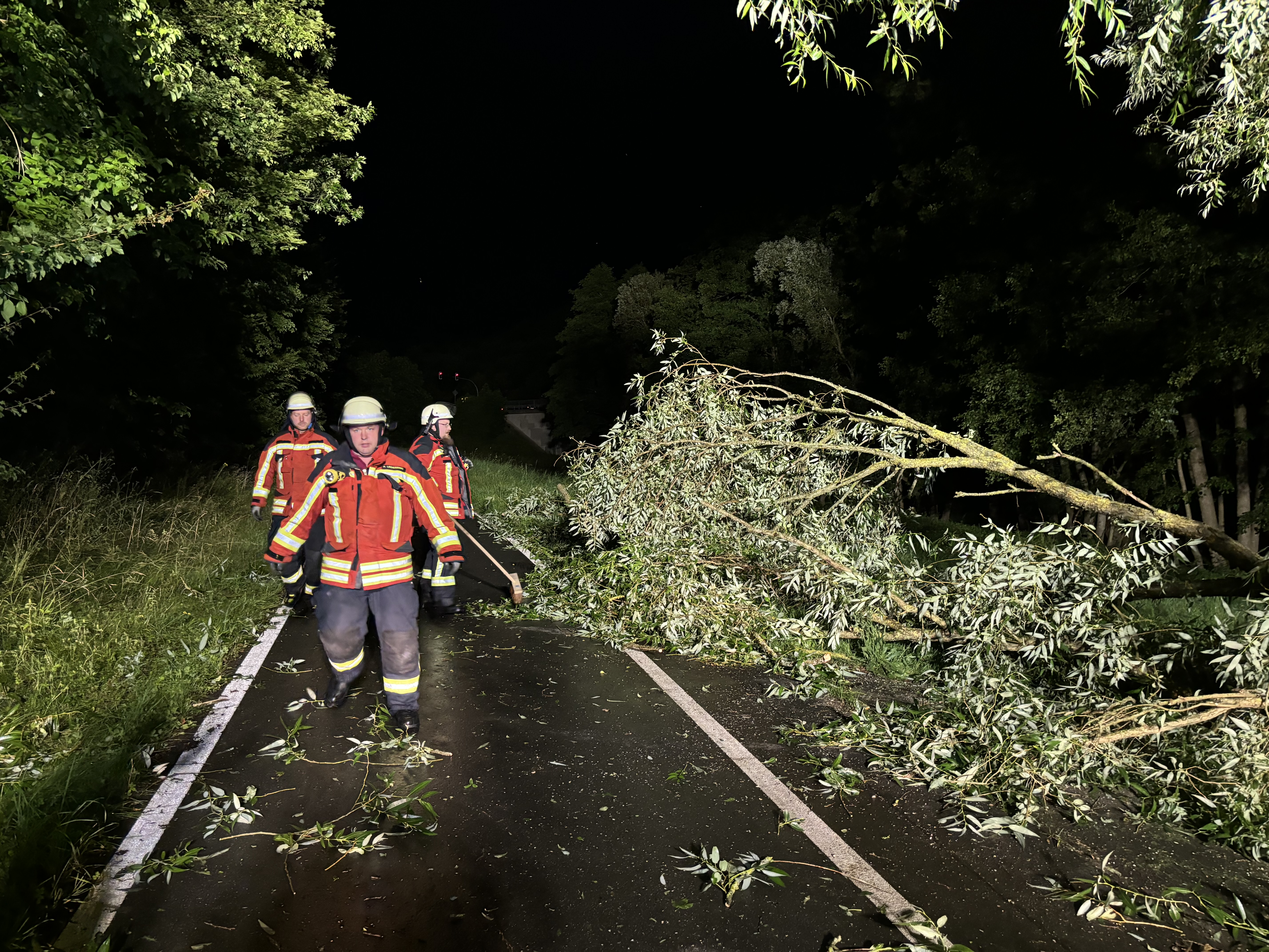 24-07-06 22-49-49 8019.jpg